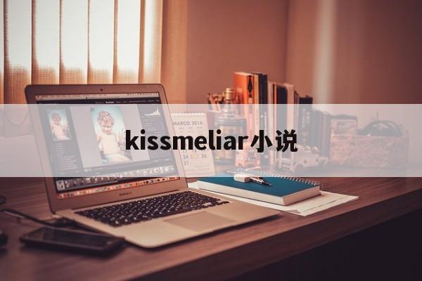 kissmeliar小说(kissmeliar第30画)