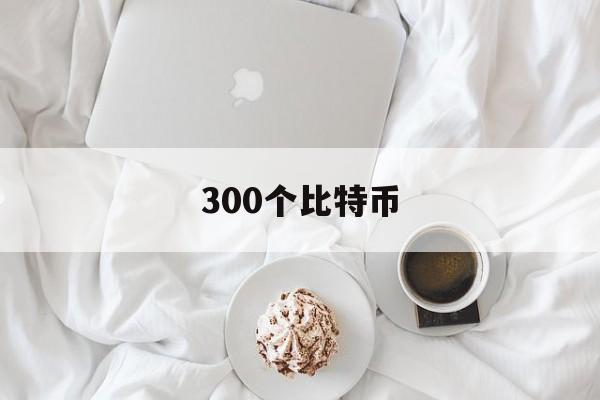 300个比特币(300个比特币等于多少人民币)